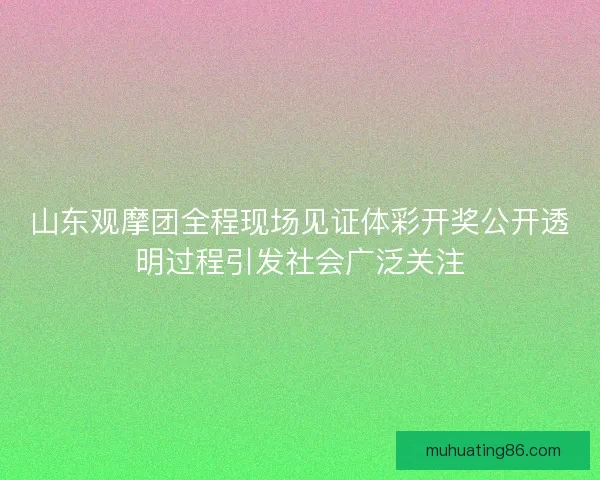 山东观摩团全程现场见证体彩开奖公开透明过程引发社会广泛关注