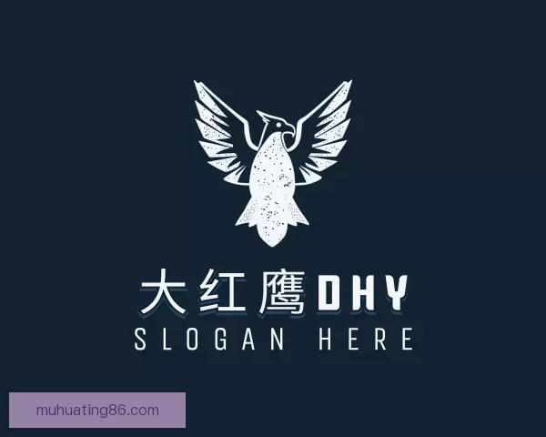 认识大红鹰dhy